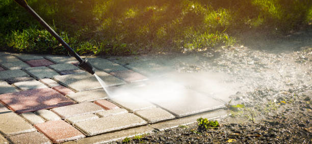 Best Animal Enclosure Cleaning  in Forest City, IA